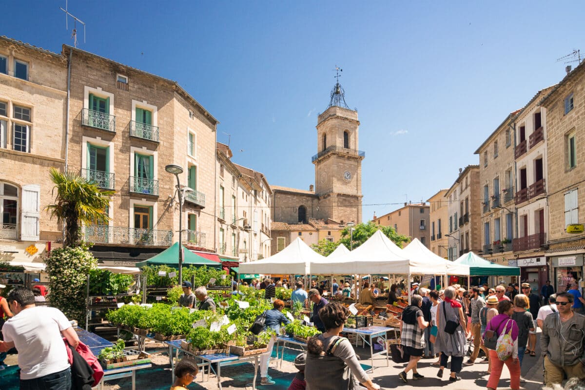 une parfaite connaissance du marché immobilier Piscénois